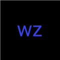 wz定制