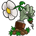 植物大战僵尸重置版 v1.3.7.0